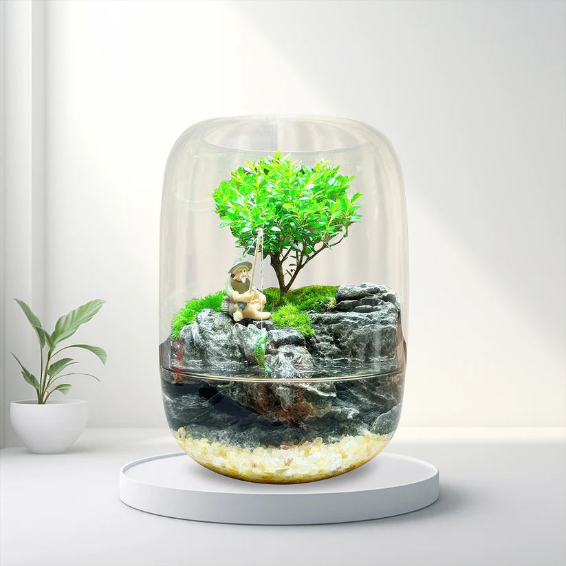 Moss Microcosm Landscape Bonsai