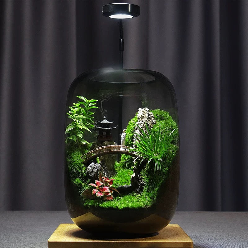 Moss Microcosm Landscape Bonsai